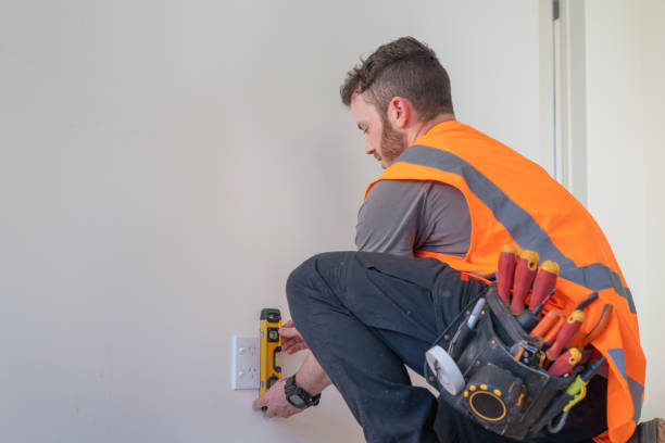 Best Electric Panel Repair  in Sedalia, MO